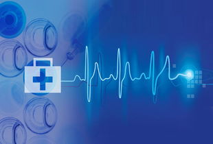 互聯(lián)網(wǎng)數(shù)據(jù)服務(wù)助力公立醫(yī)院沖刺 警惕新型‘看病難看病貴’